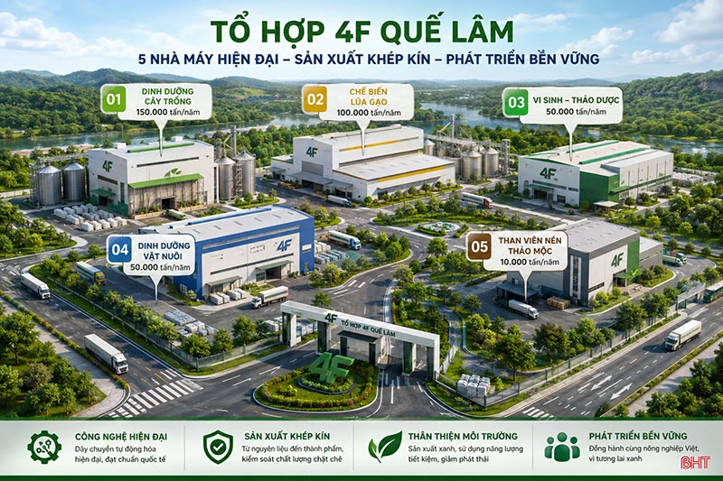4F Quế Lâm