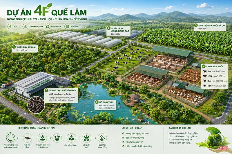 4F Quế Lâm