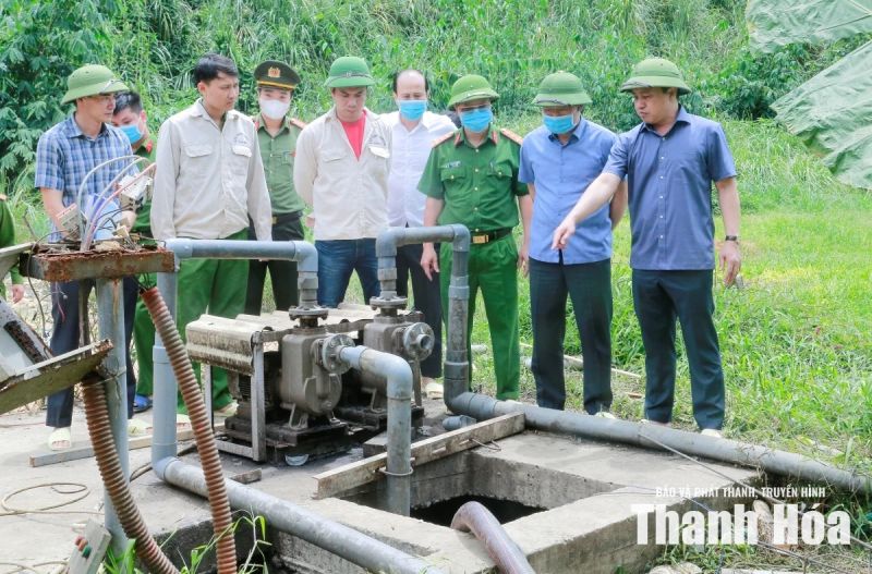 DABACO Thanh Hóa