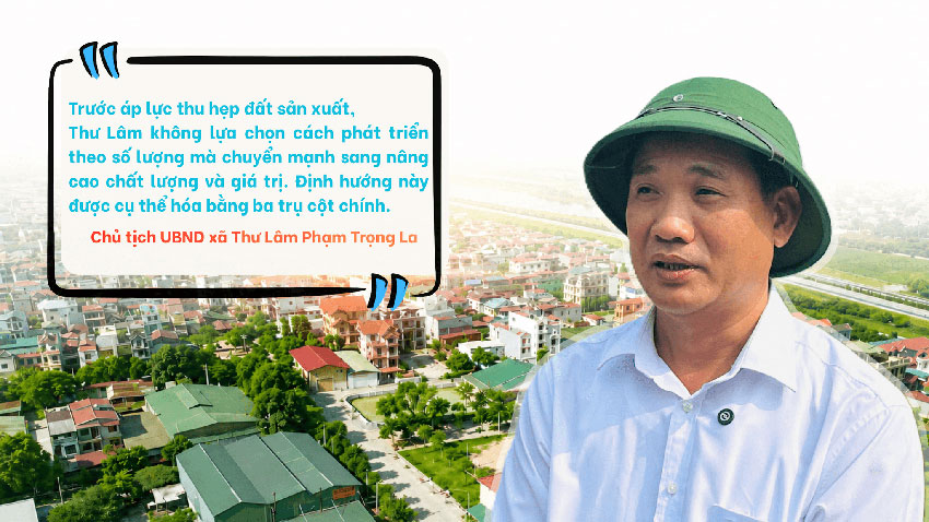 nuôi gà thư lâm