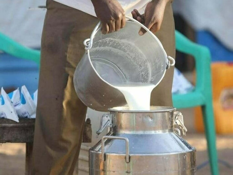 bột giặt thành sữa tươi