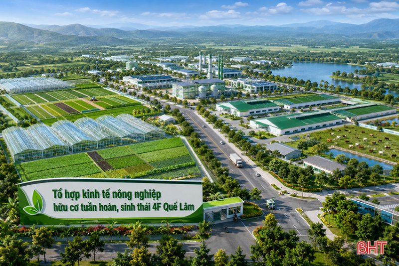 4F Quế Lâm Hà Tĩnh