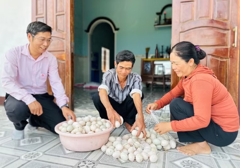 chăn vịt