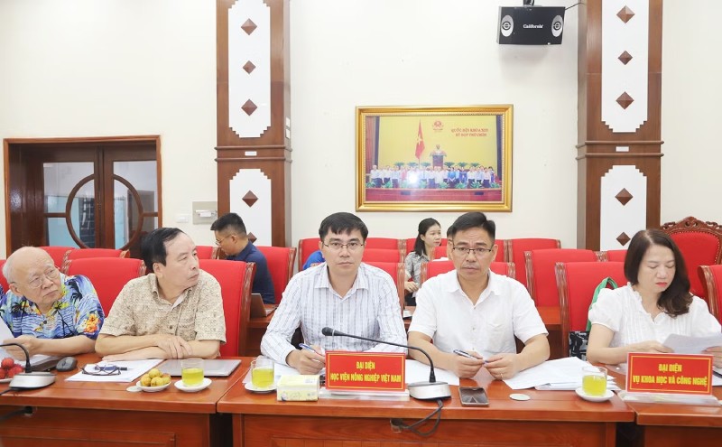 phát triển hươu sao