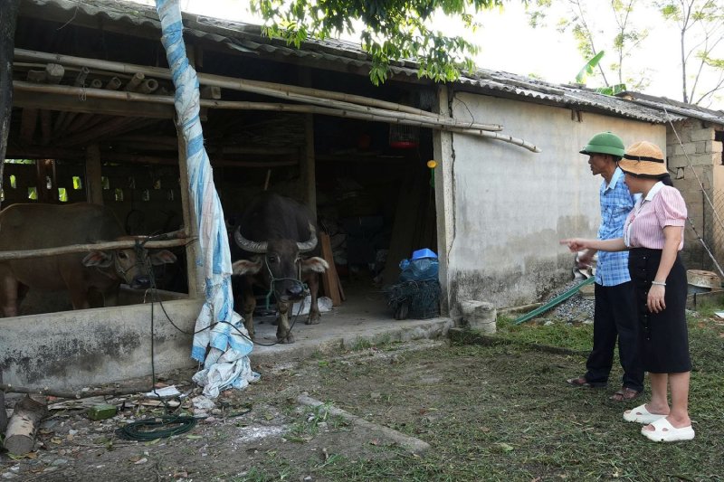 khống chế ổ dịch lở mồm long móng