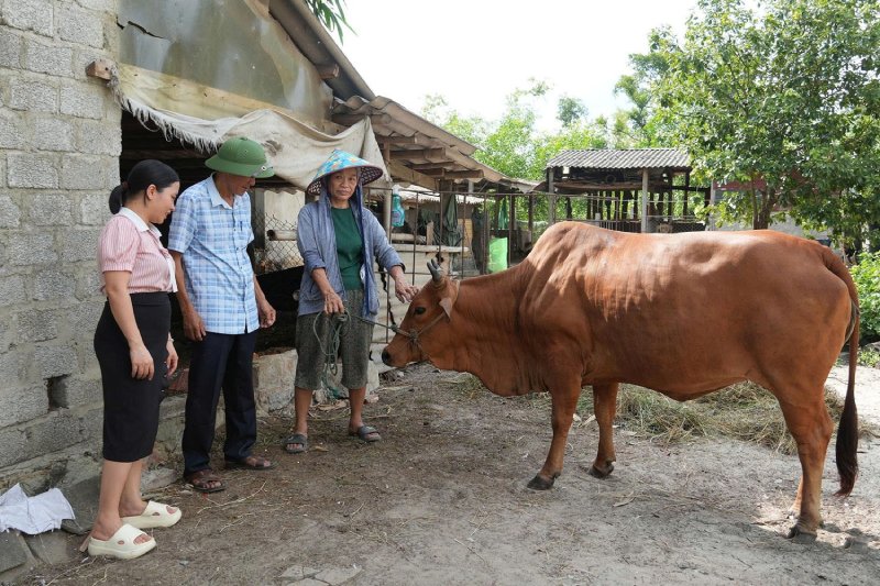 khống chế ổ dịch lở mồm long móng