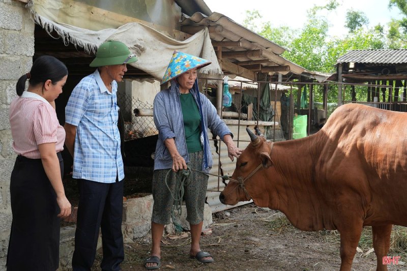 khống chế ổ dịch lở mồm long móng