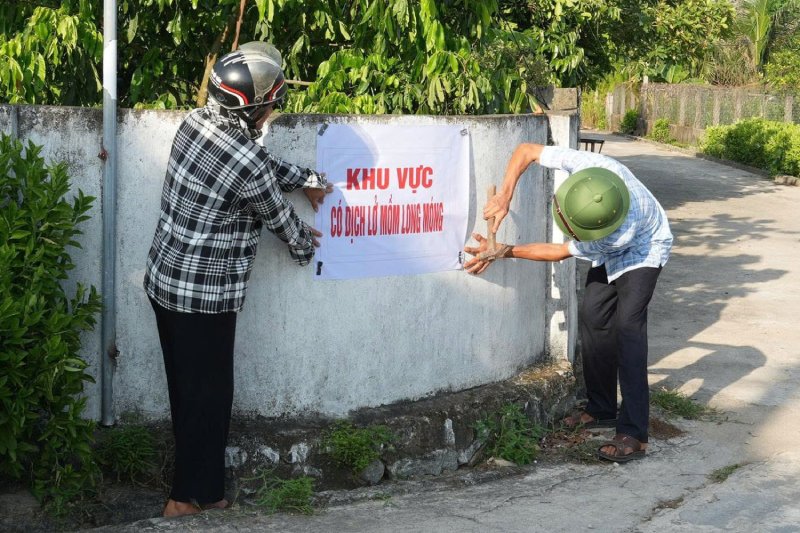khống chế ổ dịch lở mồm long móng