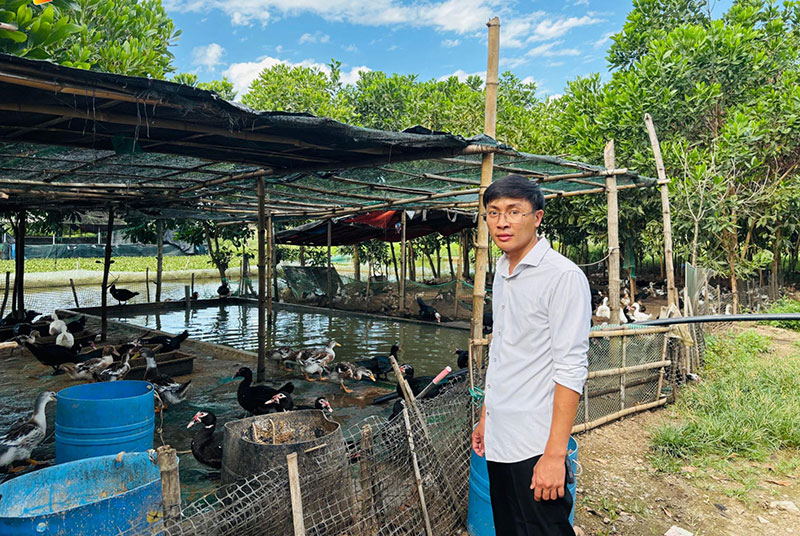 mô hình nuôi sạch