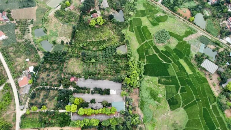 Japfa Comfeed Việt Nam