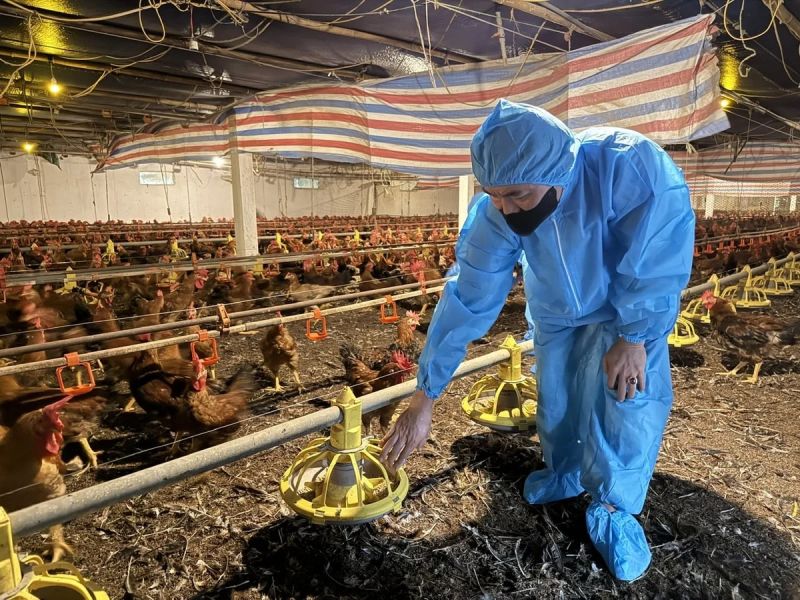 Japfa Comfeed Việt Nam