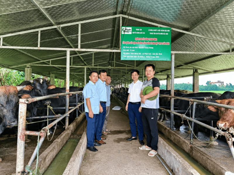 chăn nuôi tuần hoàn