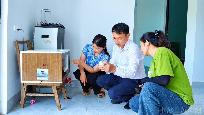 gà đen