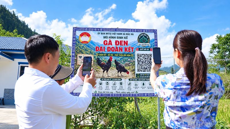 gà đen