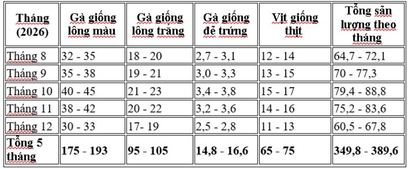 dự báo sản lượng gia cầm giống 5 tháng cuối năm 2026