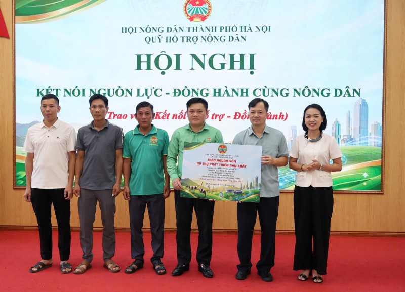 nuôi bò sữa hà nội