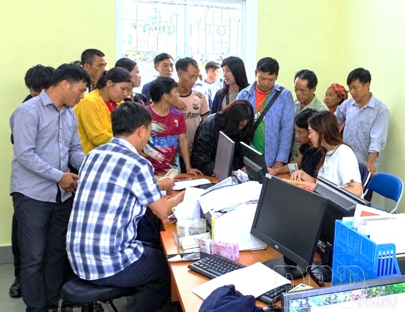hỗ trợ dịch tả lợn