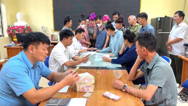 hỗ trợ dịch tả lợn