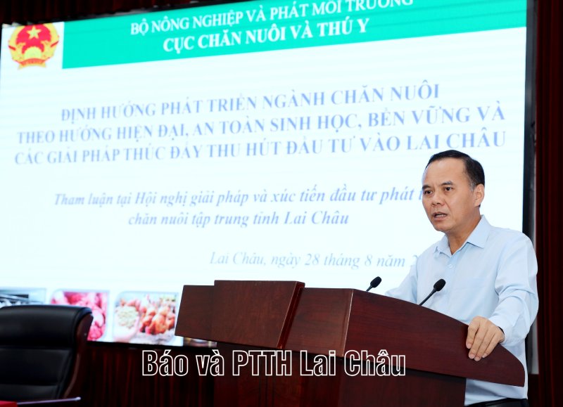 chăn nuôi tập trung