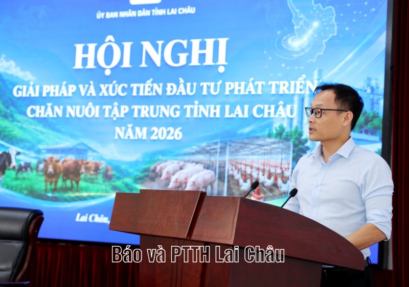 chăn nuôi tập trung