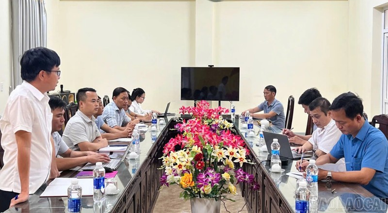 dịch tả lợn Lào Cai