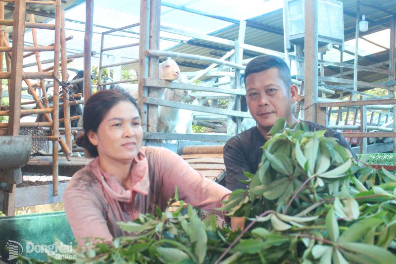 nuôi đặc sản