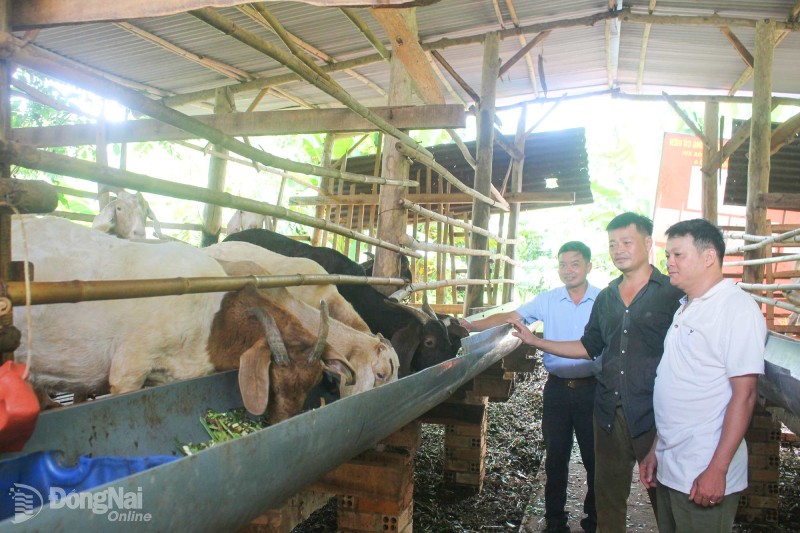 nuôi đặc sản
