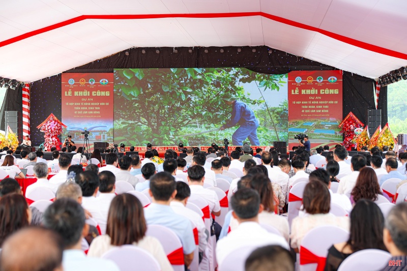 Quế Lâm Lam Hồng