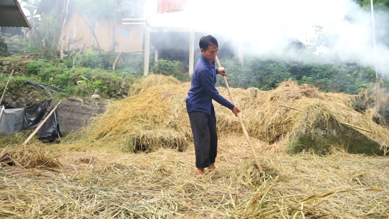 dự trữ thức ăn cho gia súc