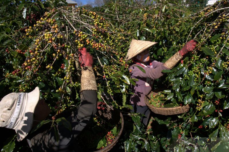 xuất khẩu nông lâm thủy sản