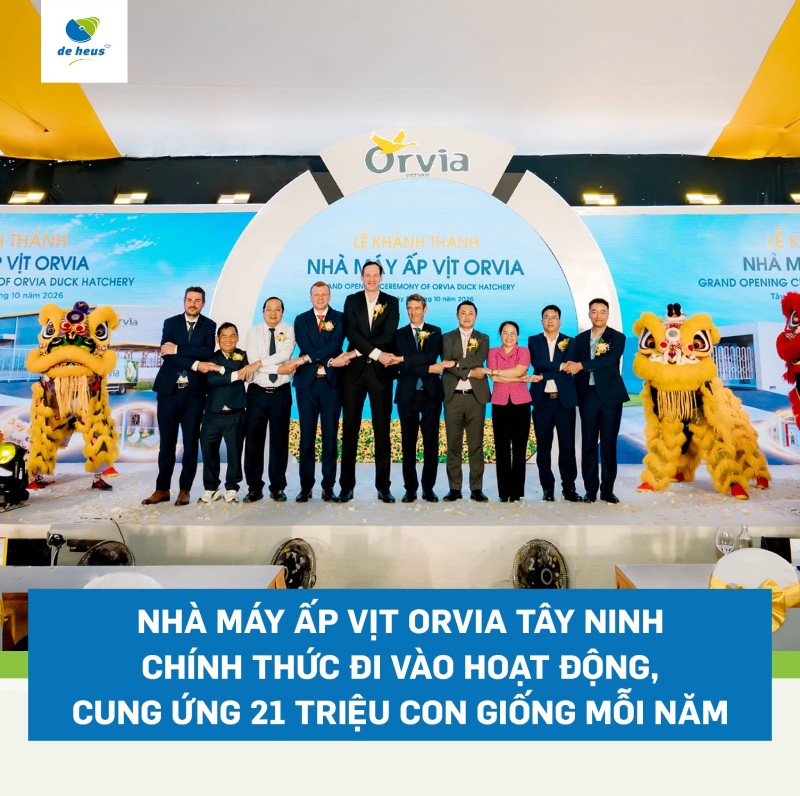 Nhà máy ấp vịt Orvia Tây Ninh