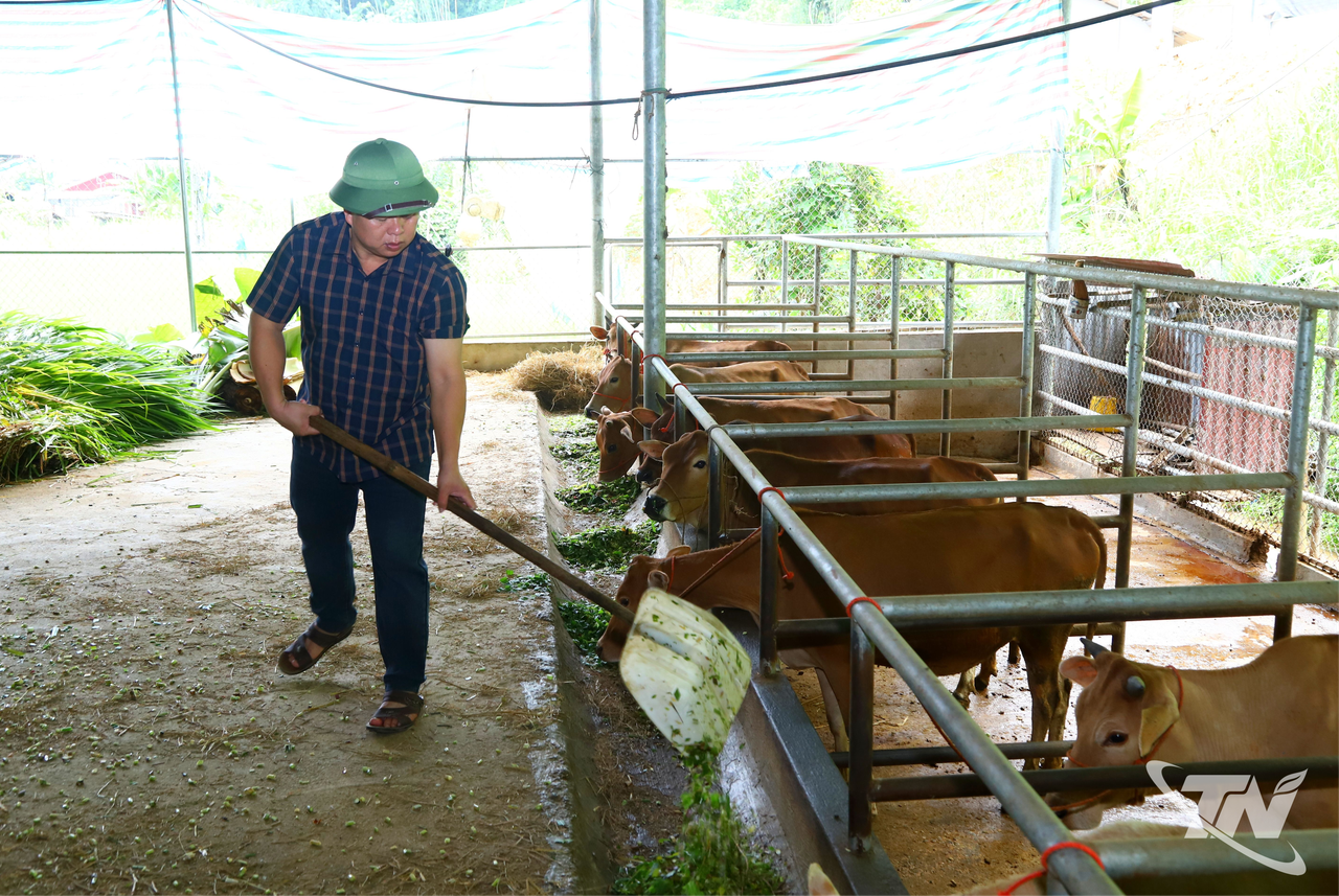 chăn nuôi an toàn sinh học