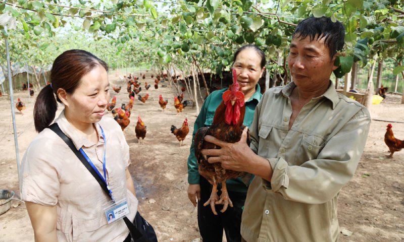 chăn nuôi bắc ninh