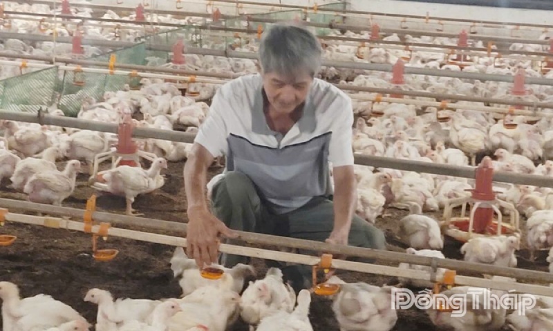 chăn nuôi bền vững