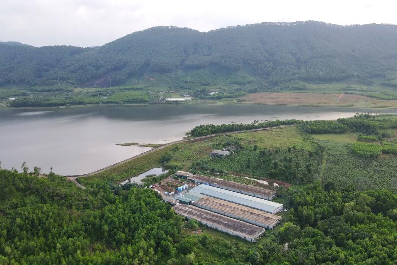 trang trại nuôi gà Ai Cập