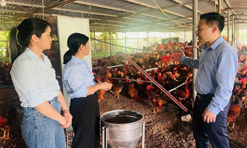 gà ri lai