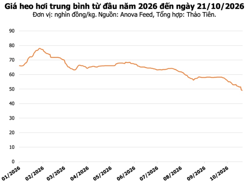 giá heo hơi trung bình