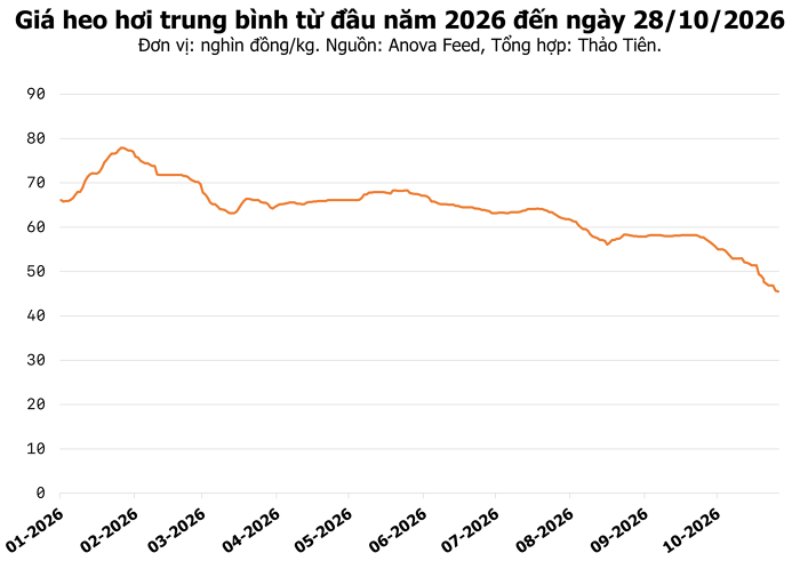 giá heo hơi trung bình
