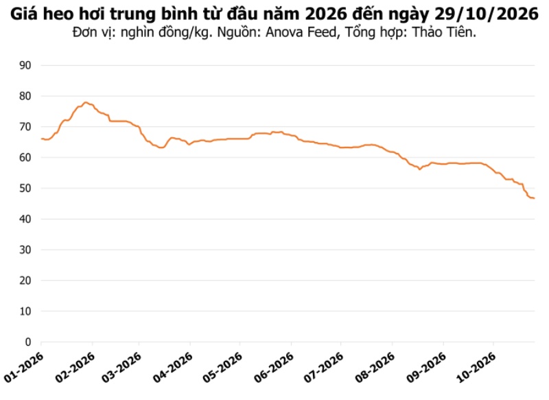 giá heo hơi trung bình