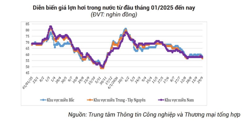diễn biến giá lợn hơi
