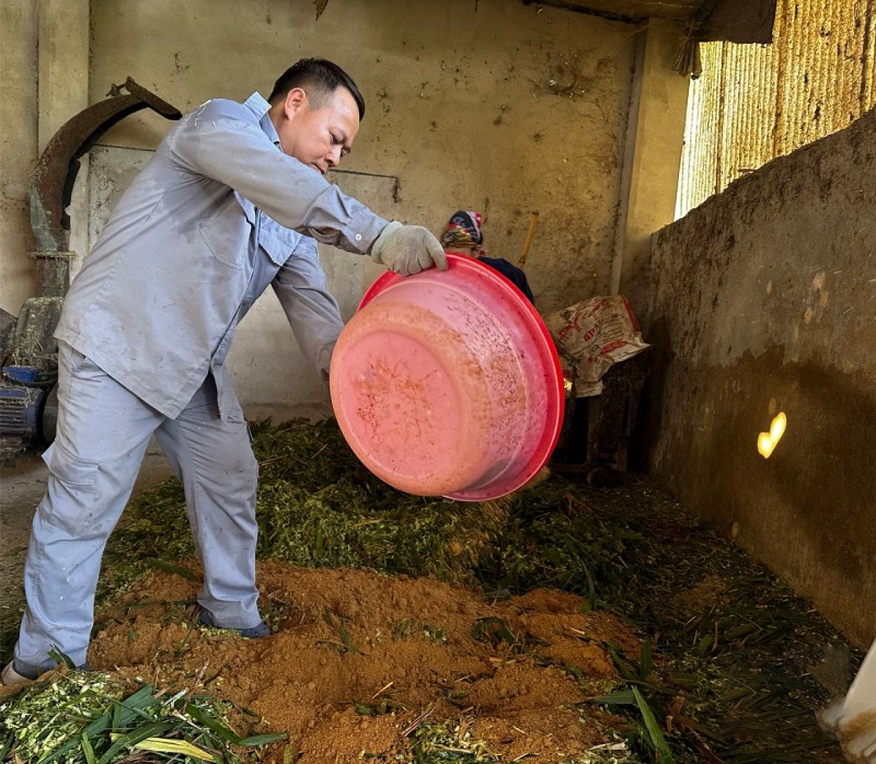 tự làm men vi sinh