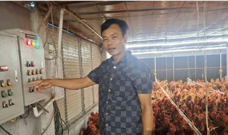 mô hình nuôi gà