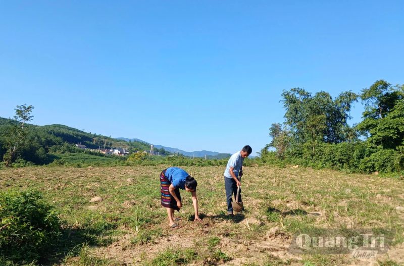 bảo vệ vật nuôi mùa bão