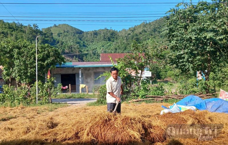 bảo vệ vật nuôi mùa bão