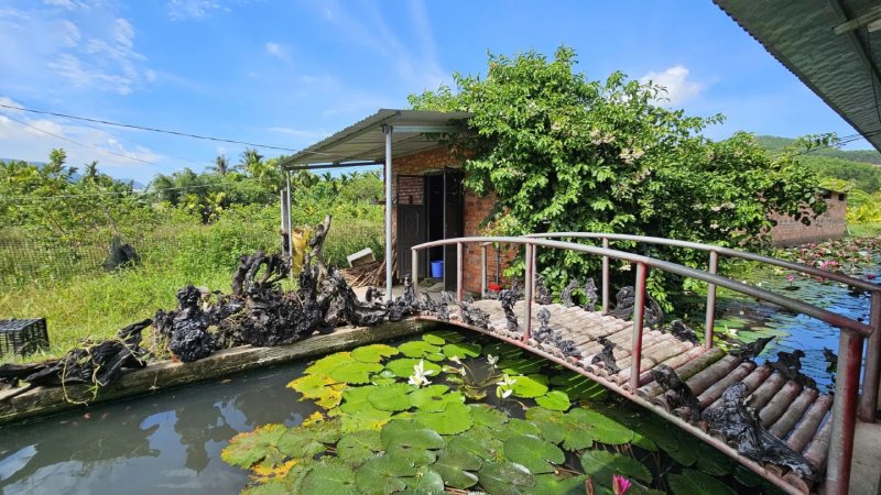 nuôi động vật hoang dã