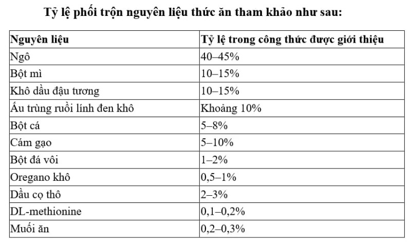 Nuôi gà hữu cơ ở Malaysia