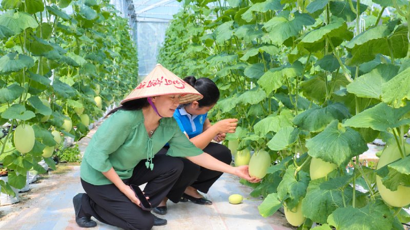 nông nghiệp công nghệ cao
