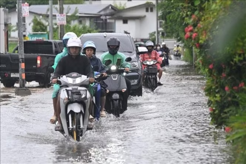 xuất khẩu trứng thái lan